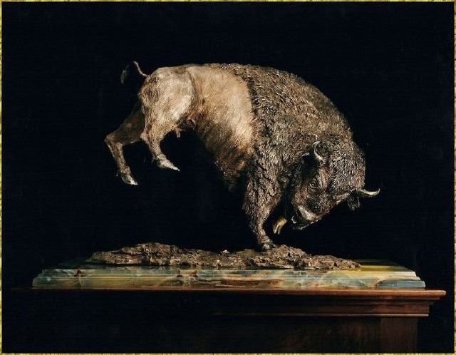 Bison
